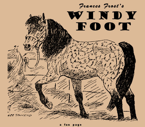 Windy Foot, the dapple-grey Shetland pony